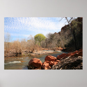 Póster Primera muestra de primavera