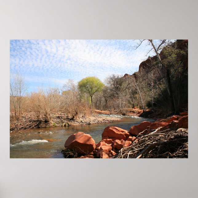 Póster Primera muestra de primavera (Frente)