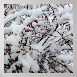 Póster primera nevada