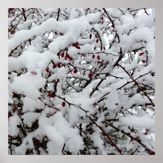 Póster primera nevada (Frente)