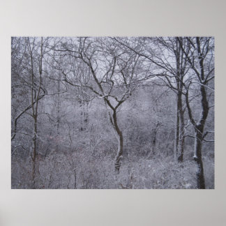 Póster Primera nevada en el estado de Nueva York