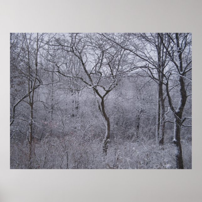 Póster Primera nevada en el estado de Nueva York (Frente)