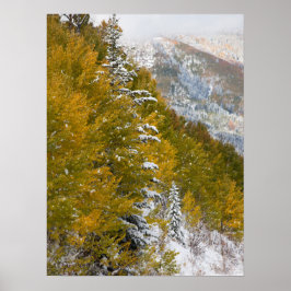 Póster Primera Nieve