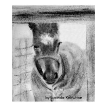 Primera vez que sale, por Lucinda Knowlton