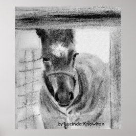 Póster Primera vez que sale, por Lucinda Knowlton