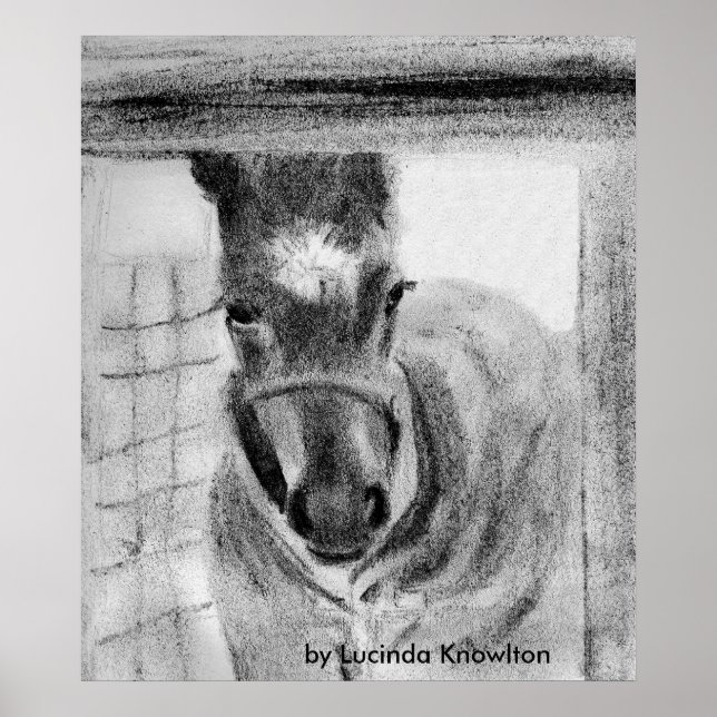 Póster Primera vez que sale, por Lucinda Knowlton (Frente)