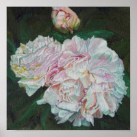 Primeras floraciones 2012