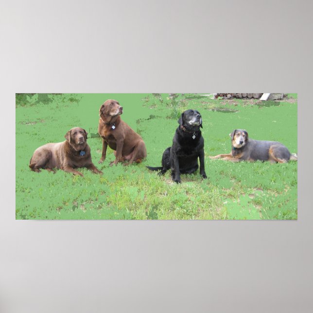 Póster Primeros cuatro (Frente)