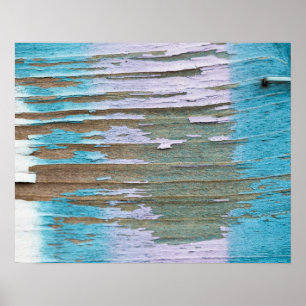 Póster Primers 2 de la pintada