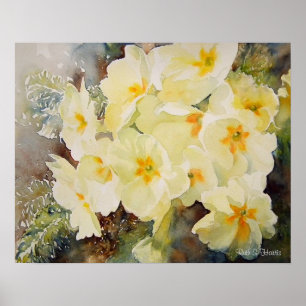 Póster Primrose Posy
