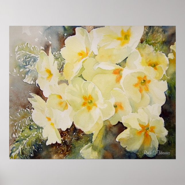 Póster Primrose Posy (Frente)
