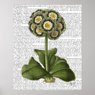 Póster Primula Auricula Blue