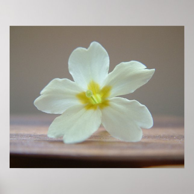 Póster Princesa (Frente)