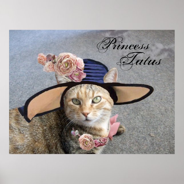 PÓSTER PRINCESO TATUS / GATO ELEGANTE, GRAN GORRA DIVA Y  (Frente)