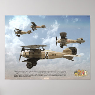 Póster Principales Ases de la Fuerza Aérea Austro-Húngara