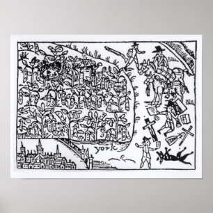 Póster Príncipe Rupert Hiding en una haba