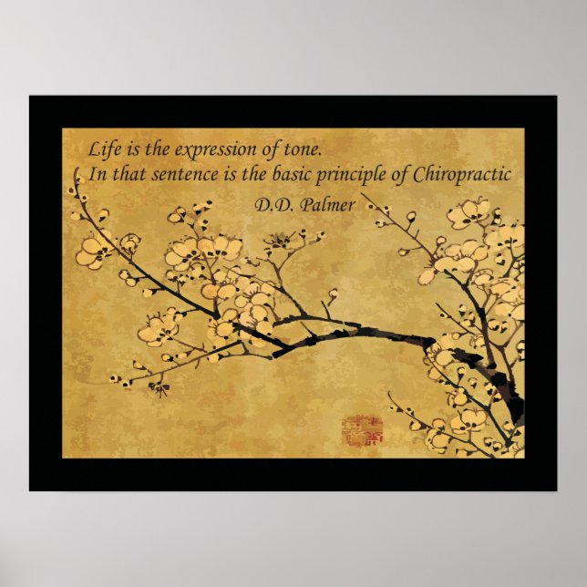 Póster Principio de salud quiropráctica (Frente)
