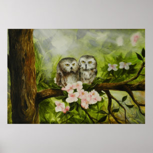 Póster Print of Baby Owls