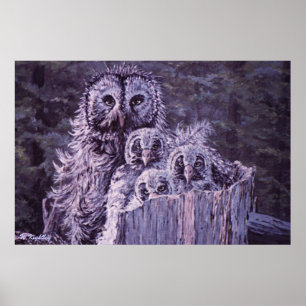 Póster Print of "Owl Family"