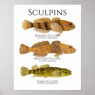 Póster Print, Value Poster Paper (Matte)