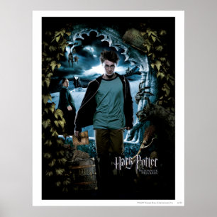 Póster Prisionero de Azkaban - francés 3