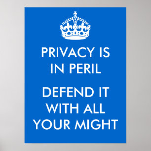 Póster Privacy is in Peril Poster