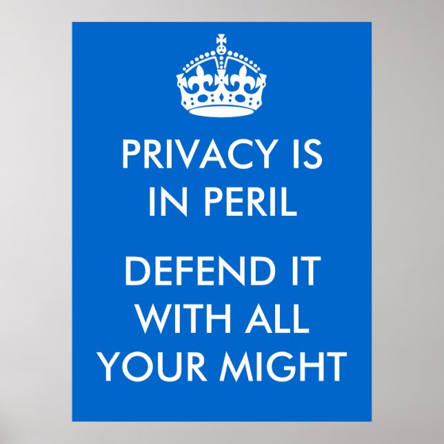 Póster Privacy is in Peril Poster (Frente)
