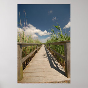 Póster Private dock