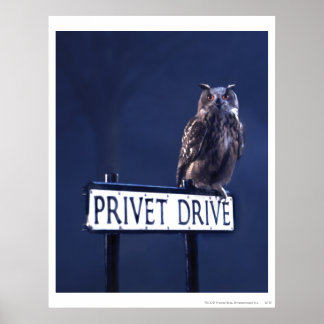Póster Privet Drive