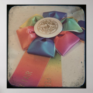 Póster Prize Winner