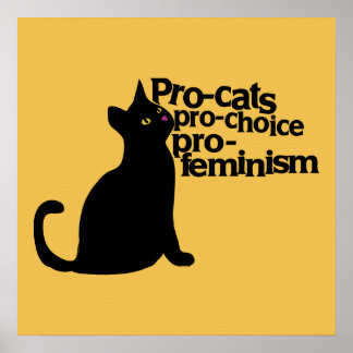 Póster pro-feminismo pro-elección de gatos