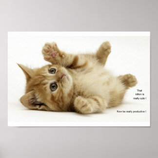 Póster Productivity Kitten (Kitteh)