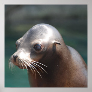 Póster Producto del personalizar