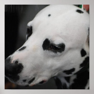 Póster Producto del personalizar