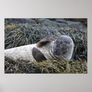 Póster Producto personalizar