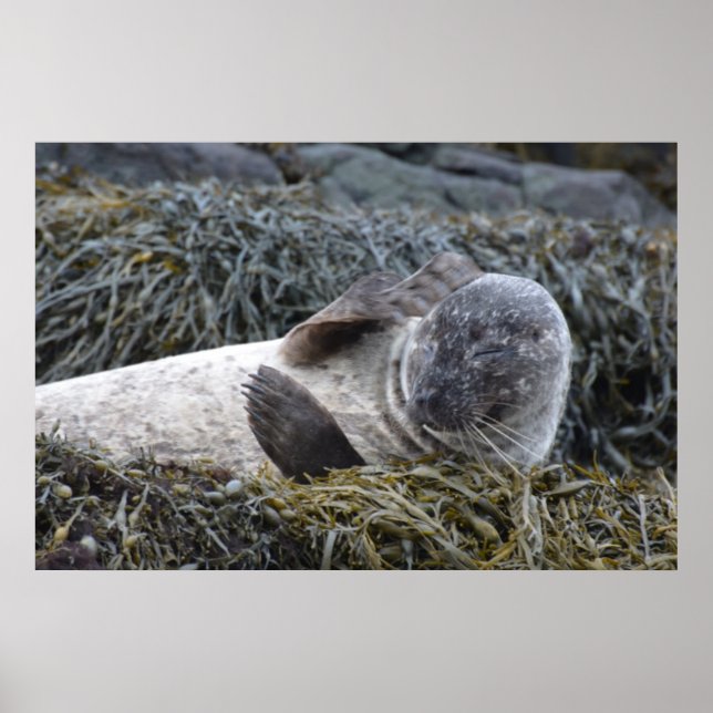 Póster Producto personalizar (Frente)