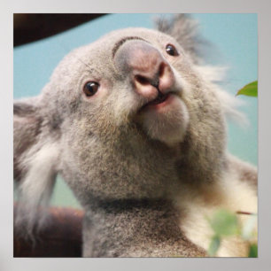 Póster Producto personalizar