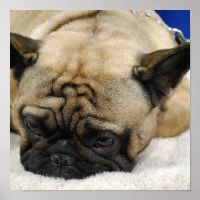 Póster Producto personalizar (Frente)