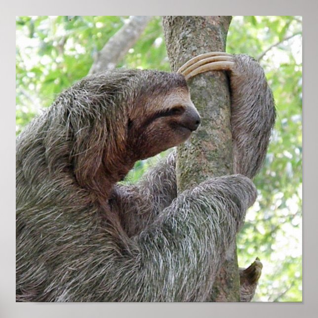 Póster Producto personalizar (Frente)