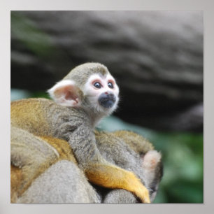 Póster Producto personalizar