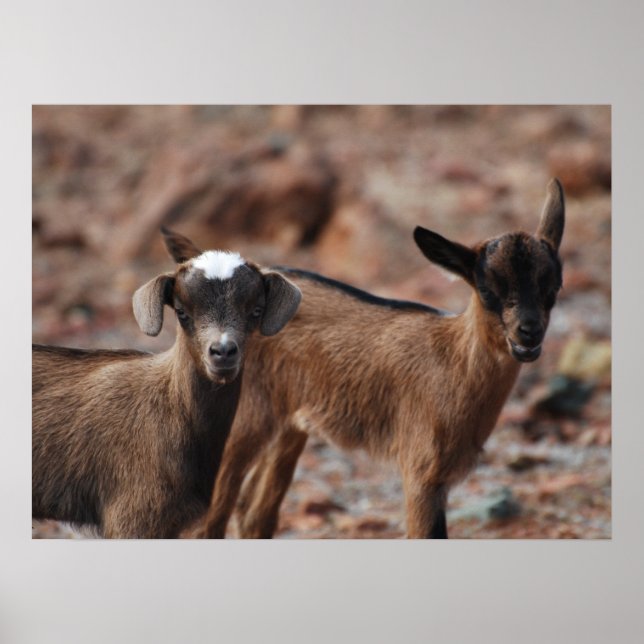 Póster Producto personalizar (Frente)