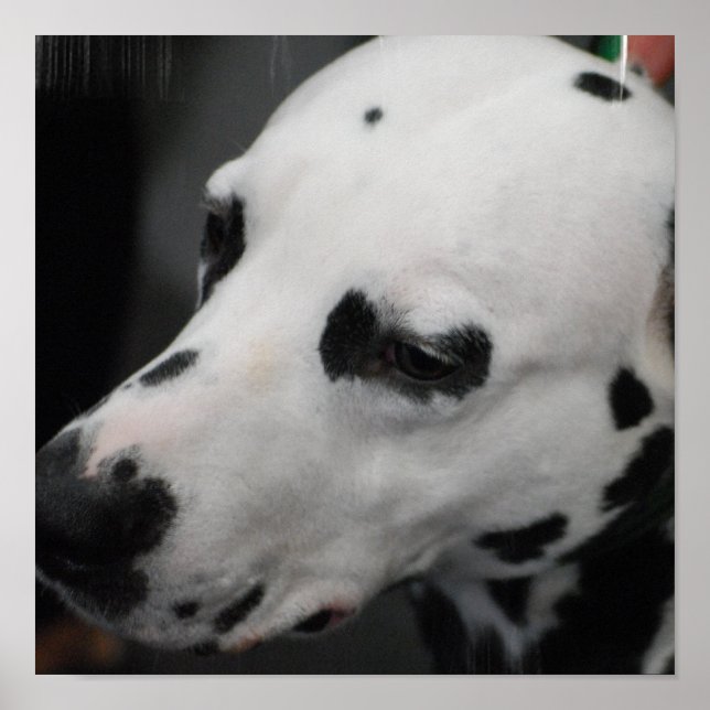 Póster Producto personalizar (Frente)