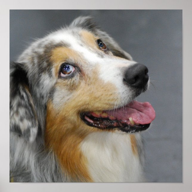 Póster Producto personalizar (Frente)