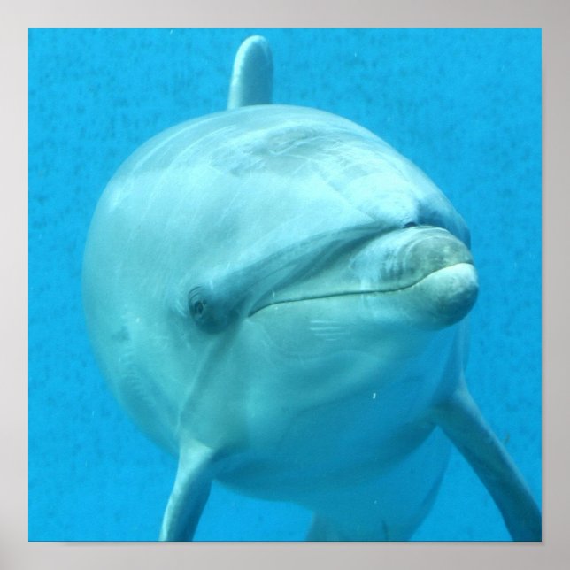 Póster Producto personalizar (Frente)