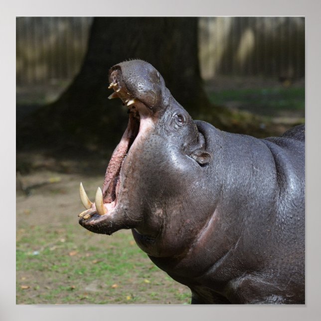 Póster Producto personalizar (Frente)