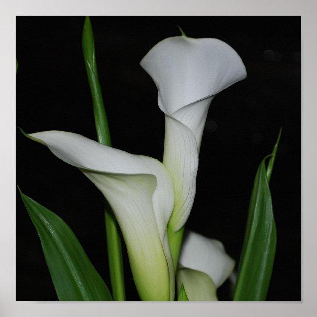 Póster Producto personalizar (Frente)