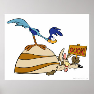 Póster Productos Wile E Coyote y ROAD RUNNER™ Acme 5