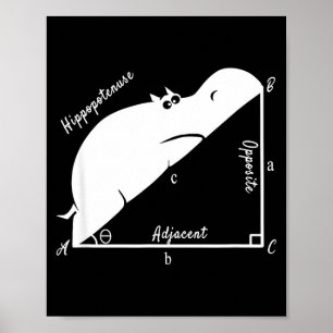 Póster Profesor de Matemáticas Divertido, Hiptenusa Diver