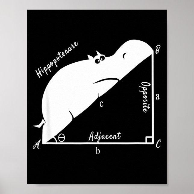 Póster Profesor de Matemáticas Divertido, Hiptenusa Diver (Frente)