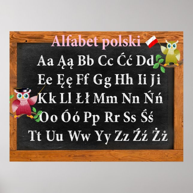 Póster Profesor imbécil Owl Alfabet polaco Alfabet polski (Frente)